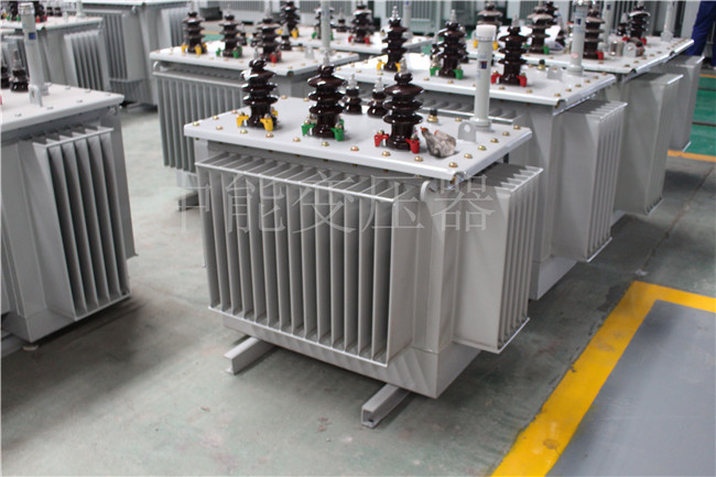 那曲S22-250KVA/10KV变压器